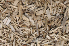 biomass boilers Cruckton